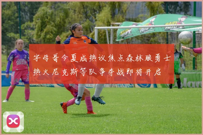 字母哥今夏成热议焦点森林狼勇士热火尼克斯等队争夺战即将开启