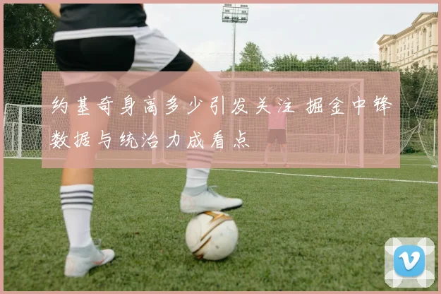 约基奇身高多少引发关注 掘金中锋数据与统治力成看点